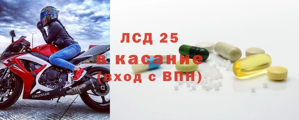 сатива Абинск