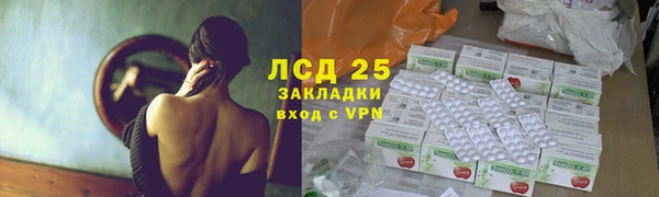 сатива Абинск