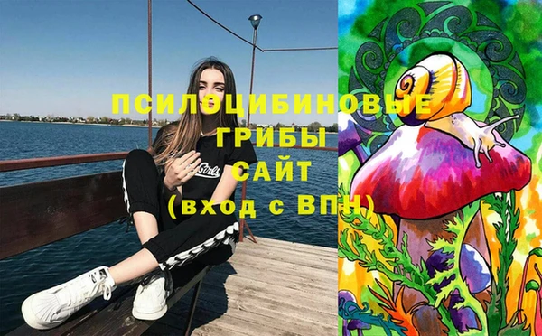 сатива Абинск