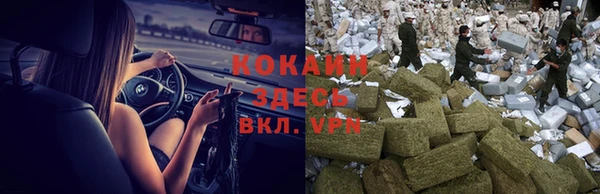 сатива Абинск