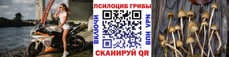 Галлюциногенные грибы Magic Shrooms  дарнет шоп  МЕГА как зайти  Топки 